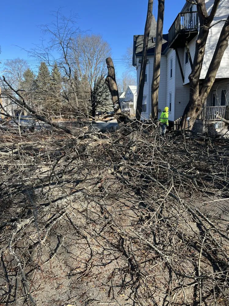 Custom landscape installation experts serving Brunswick, ME - Saldana Tree Services & Landscaping