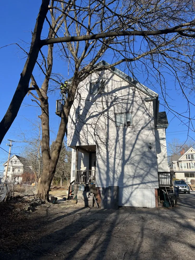 Professional outdoor landscaping in Brunswick, ME by Saldana Tree Services & Landscaping