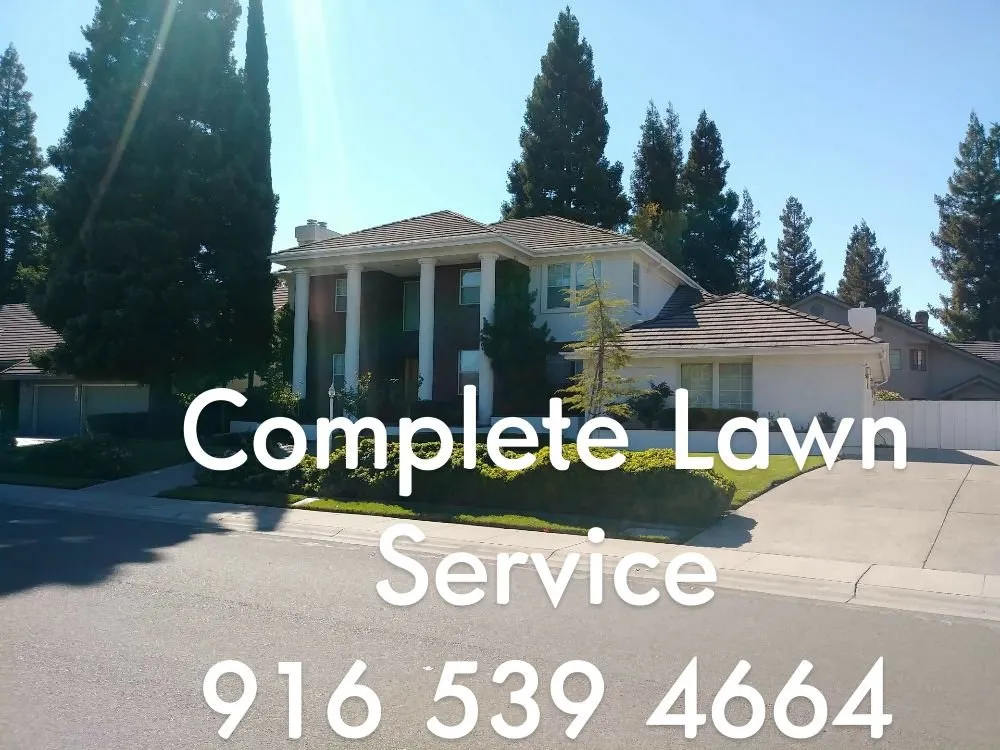 Reliable garden landscaping in Wilton, CA by Saldanana Landscape Maintenance