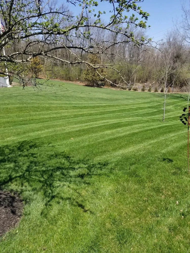 Custom lawn mowing service in Fairview Heights, IL by Saldana's Company