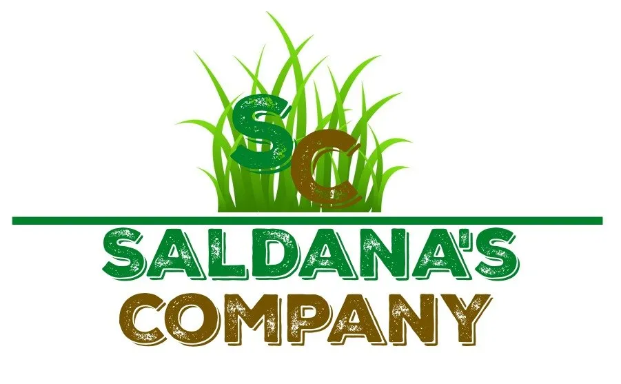 Professional yard cleanup service in Fairview Heights, IL by Saldana's Company