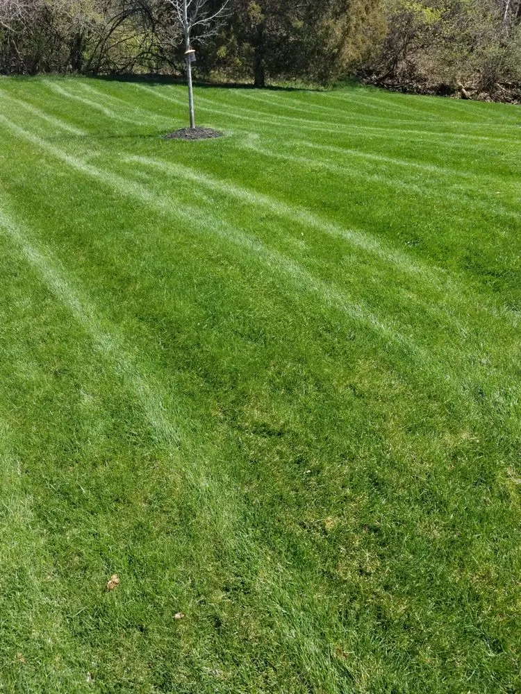 Trusted garden landscaping for homes in Fairview Heights, IL by Saldana's Company