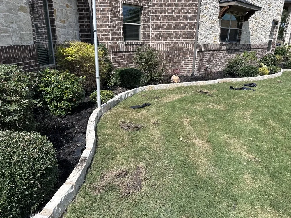 Professional landscaping services in Garland, TX by Saldi Property Management