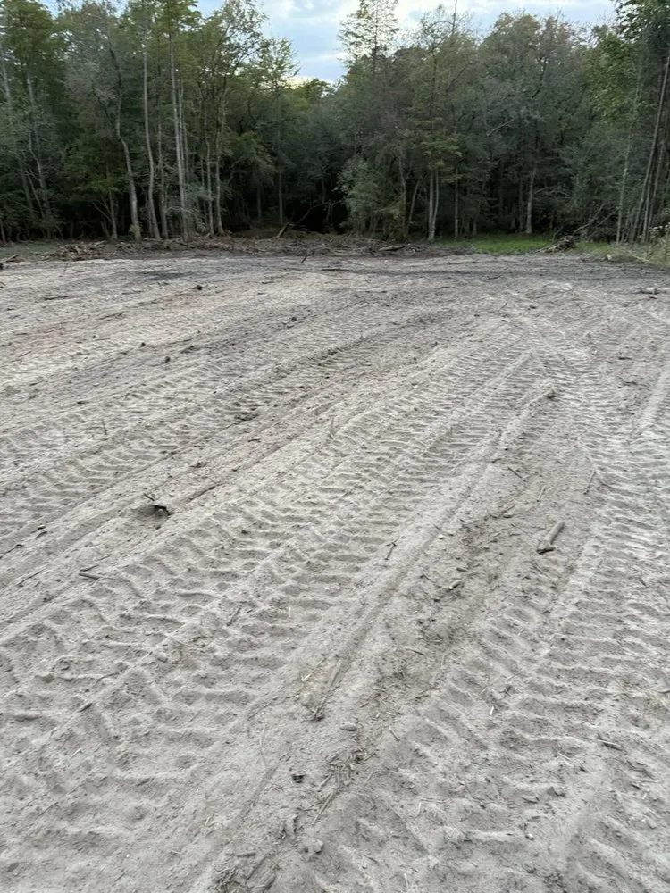 Top-rated landscaping services near you across Hartsville, SC - Saleeby Land Management