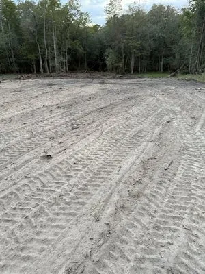 Saleeby Land Management Logo