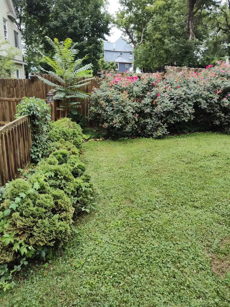 Reliable landscape design experts serving Salem, VA - Salem Family Mowing