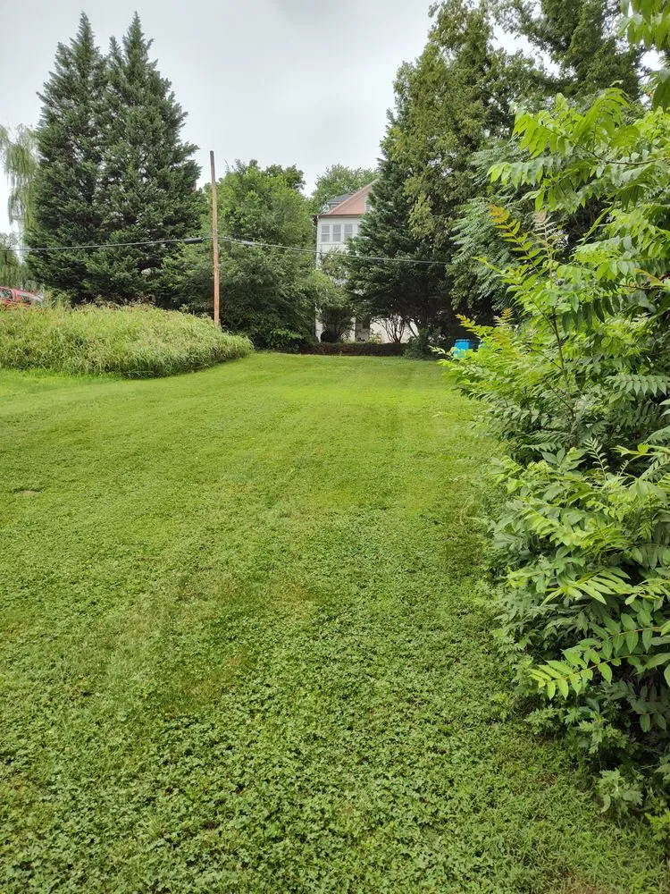 Custom lawn care service experts serving Salem, VA - Salem Family Mowing