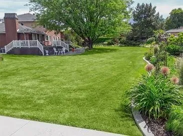 Reliable yard cleanup service in Salem, MA by Salem Greenscape