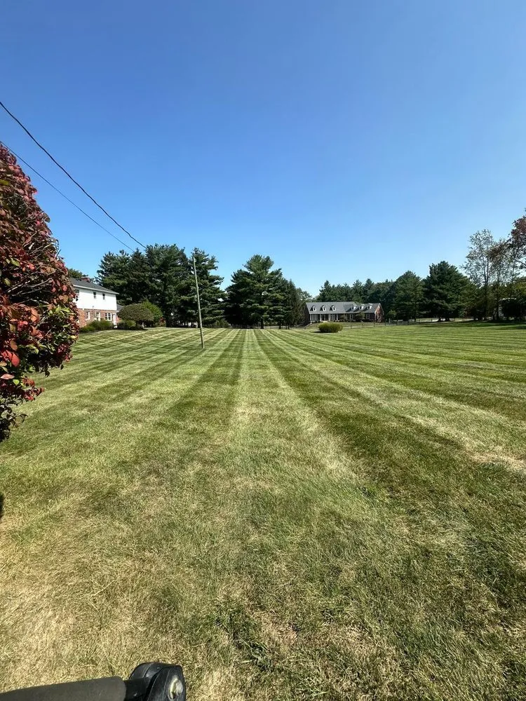 Top-rated landscaping services for beautiful yards across Anderson, IN - Salem Landscapes