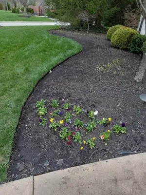 Salem Landscapes Logo