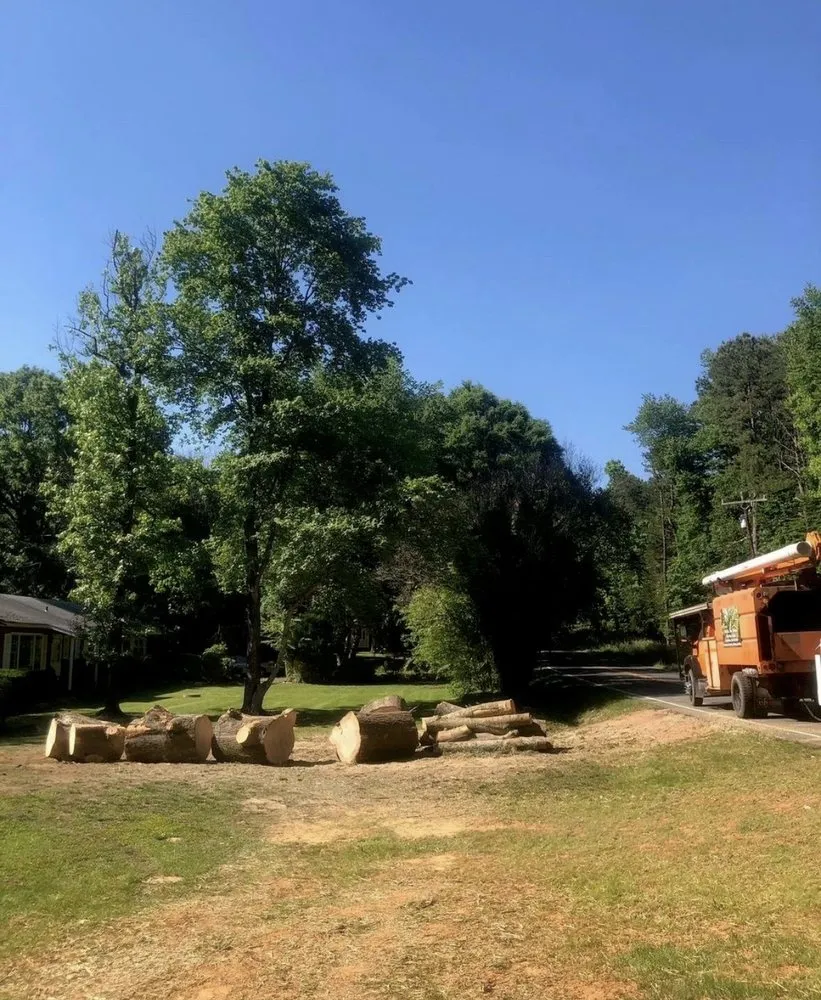 Reliable yard cleanup service in Advance, NC by Salem Lawn Care