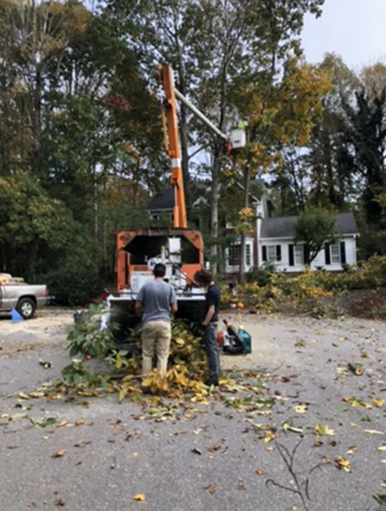 Affordable garden landscaping in Advance, NC by Salem Lawn Care