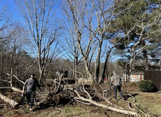 Salem Lawn Care Logo