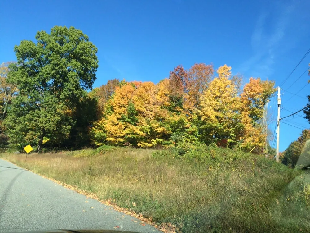 Local landscaping services in South Salem, NY - Salem Tree & Landscape Service