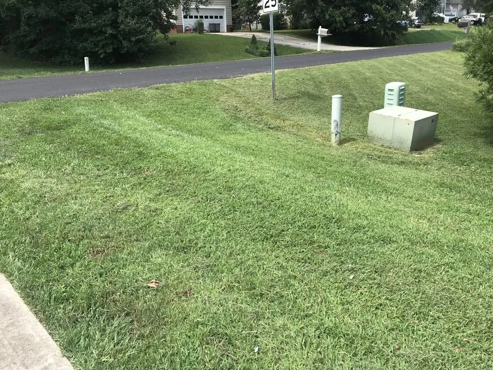 Local lawn care service experts serving Winston-Salem, NC - Salem Turf