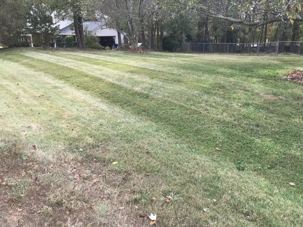 Affordable residential landscaping for year-round maintenance in Winston-Salem, NC by Salem Turf