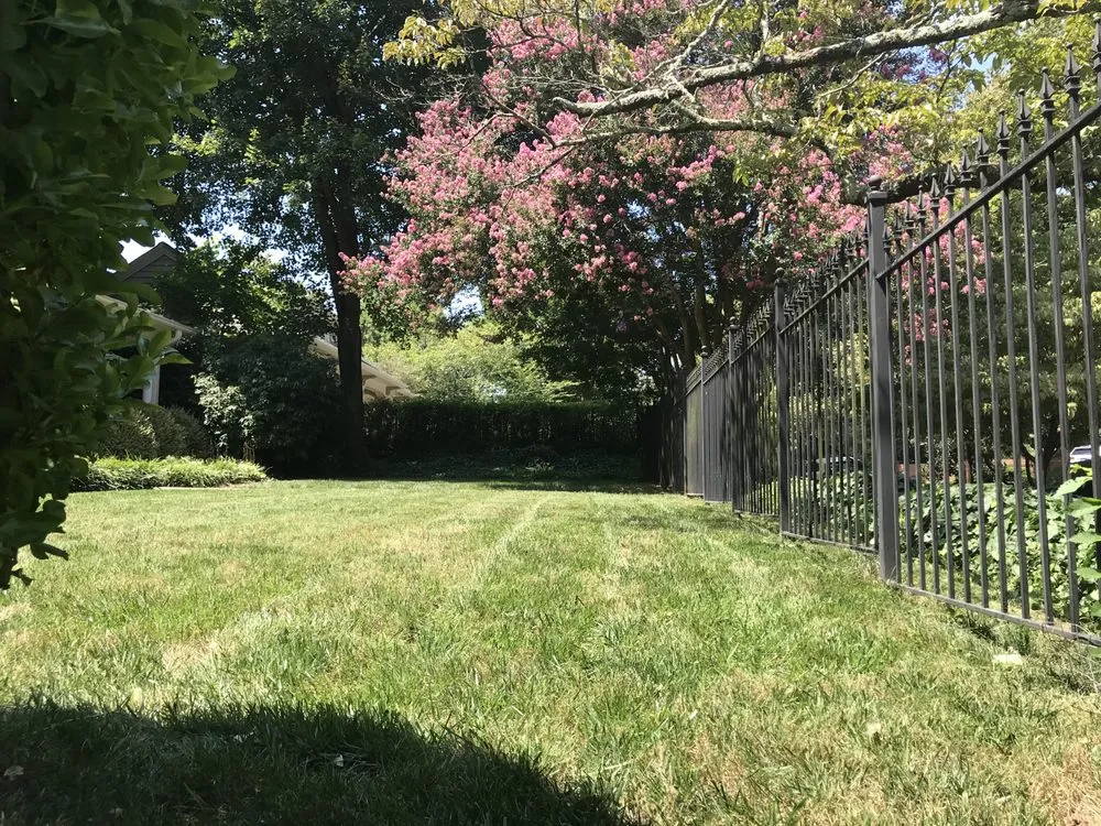Local residential landscaping experts serving Winston-Salem, NC - Salem Turf