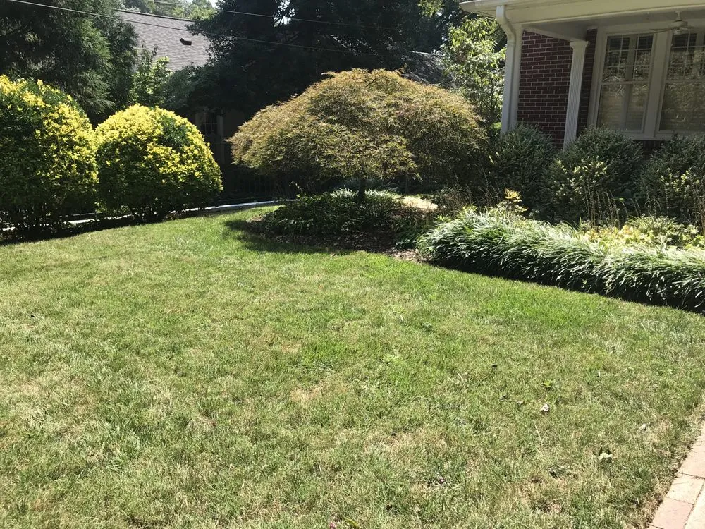 Professional landscape design experts serving Winston-Salem, NC - Salem Turf
