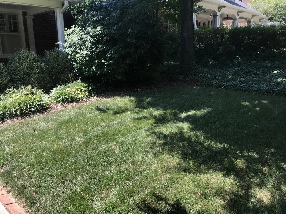 Top-rated residential landscaping for residential properties across Winston-Salem, NC - Salem Turf