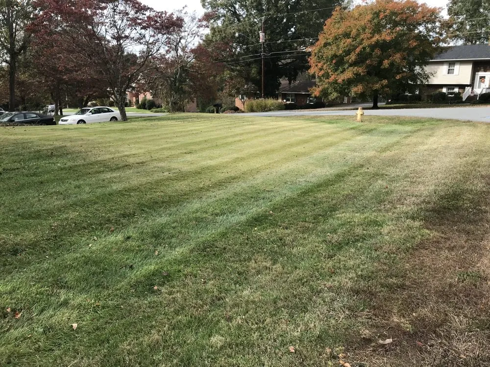 Local yard cleanup service in Winston-Salem, NC by Salem Turf