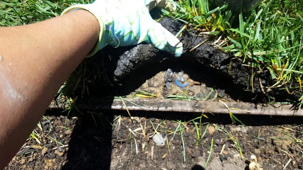 Local lawn care service with custom design in Elk Grove, CA by Salen's Landscaping