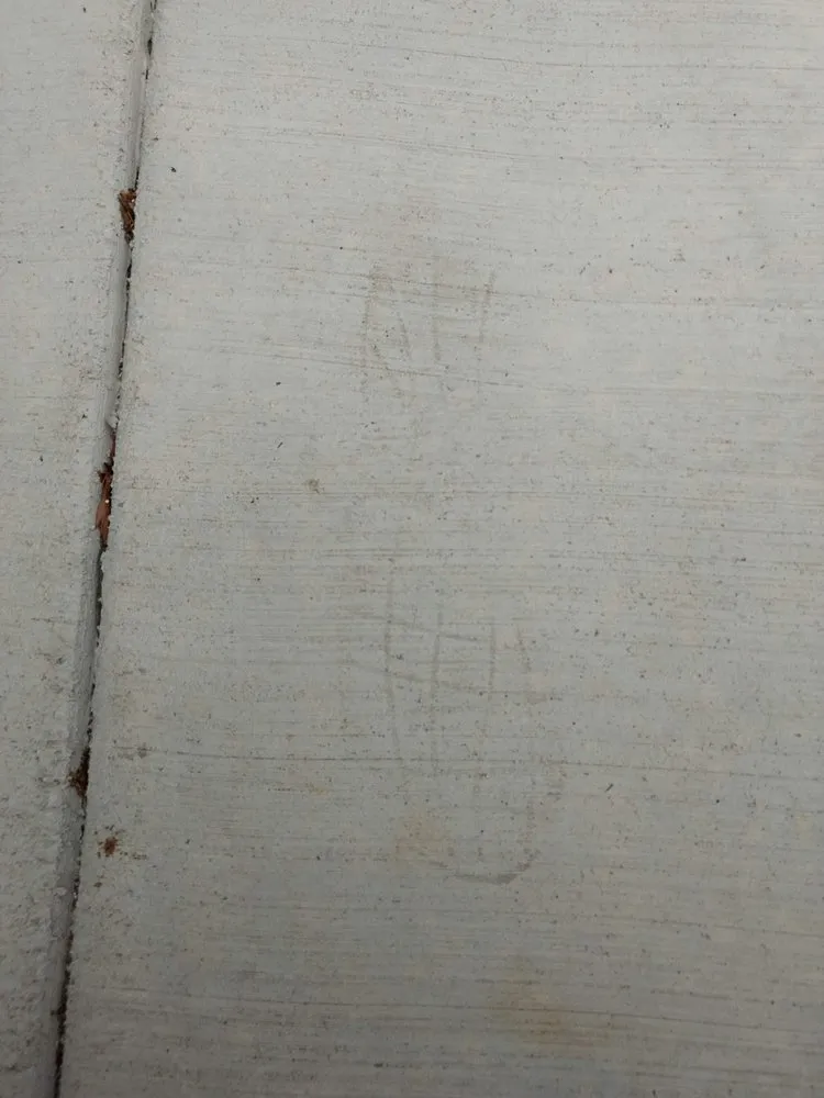 Local lawn care service for beautiful yards across Elk Grove, CA - Salen's Landscaping