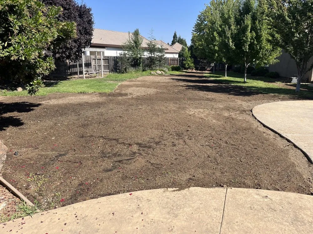 Expert yard cleanup service for residential properties in Elk Grove, CA by Salen's Landscaping