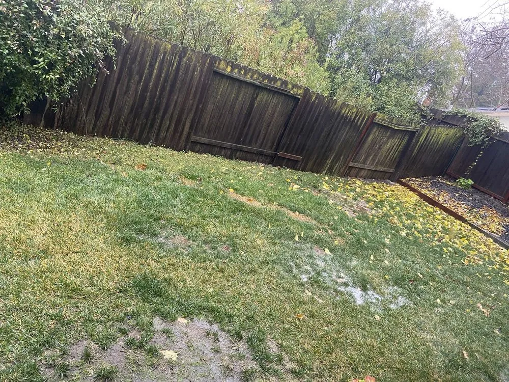 Expert yard maintenance for beautiful yards across Elk Grove, CA - Salen's Landscaping