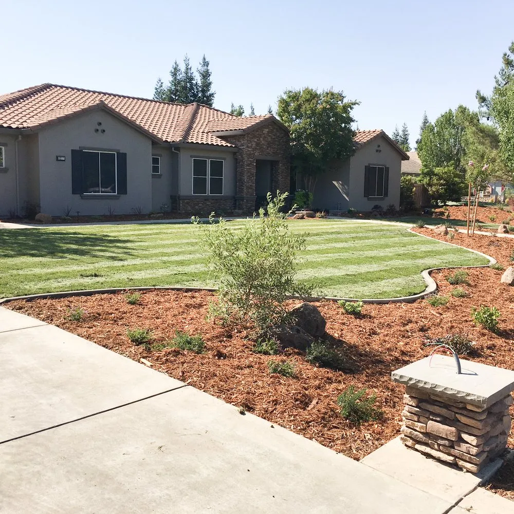 Custom yard cleanup service in Elk Grove, CA - Salen's Landscaping