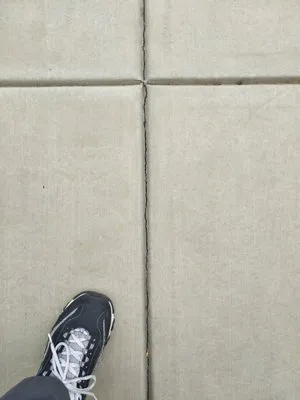 Salen's Landscaping Logo