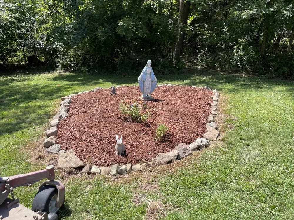 Expert yard cleanup service in New Bloomfield, MO - Salenys Pro Lawn Care
