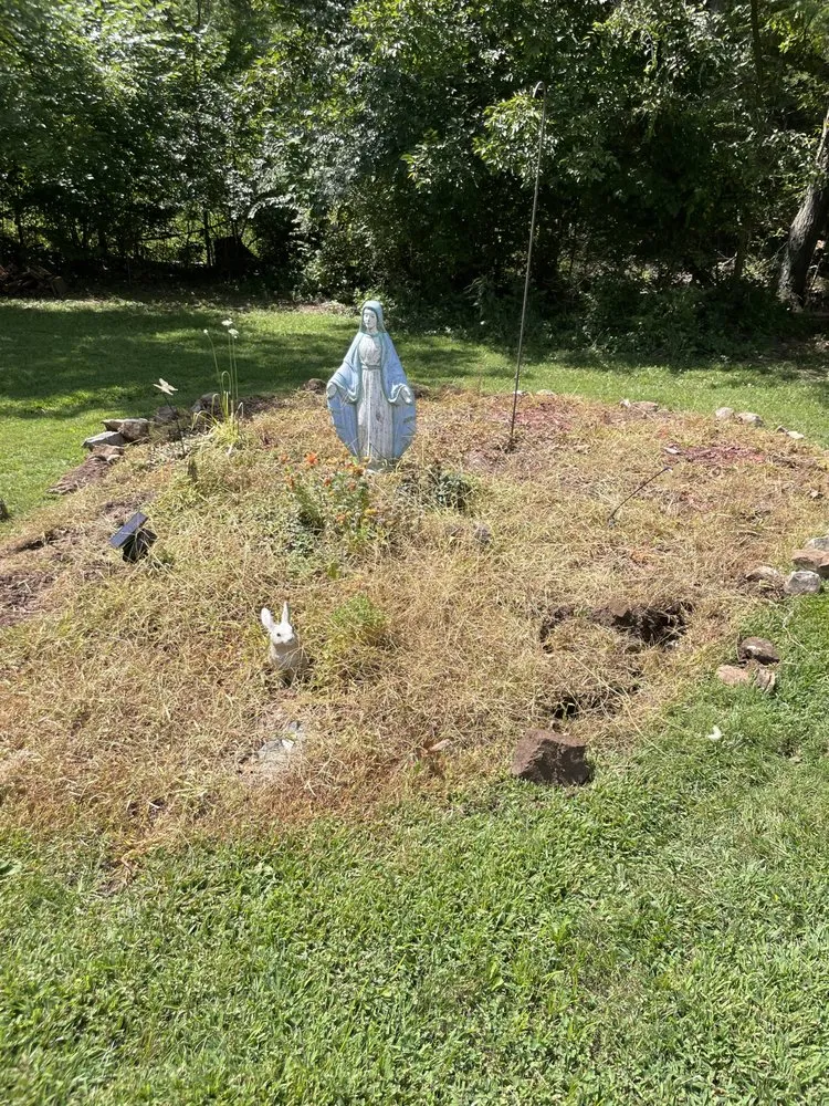 Expert outdoor landscaping experts serving New Bloomfield, MO - Salenys Pro Lawn Care