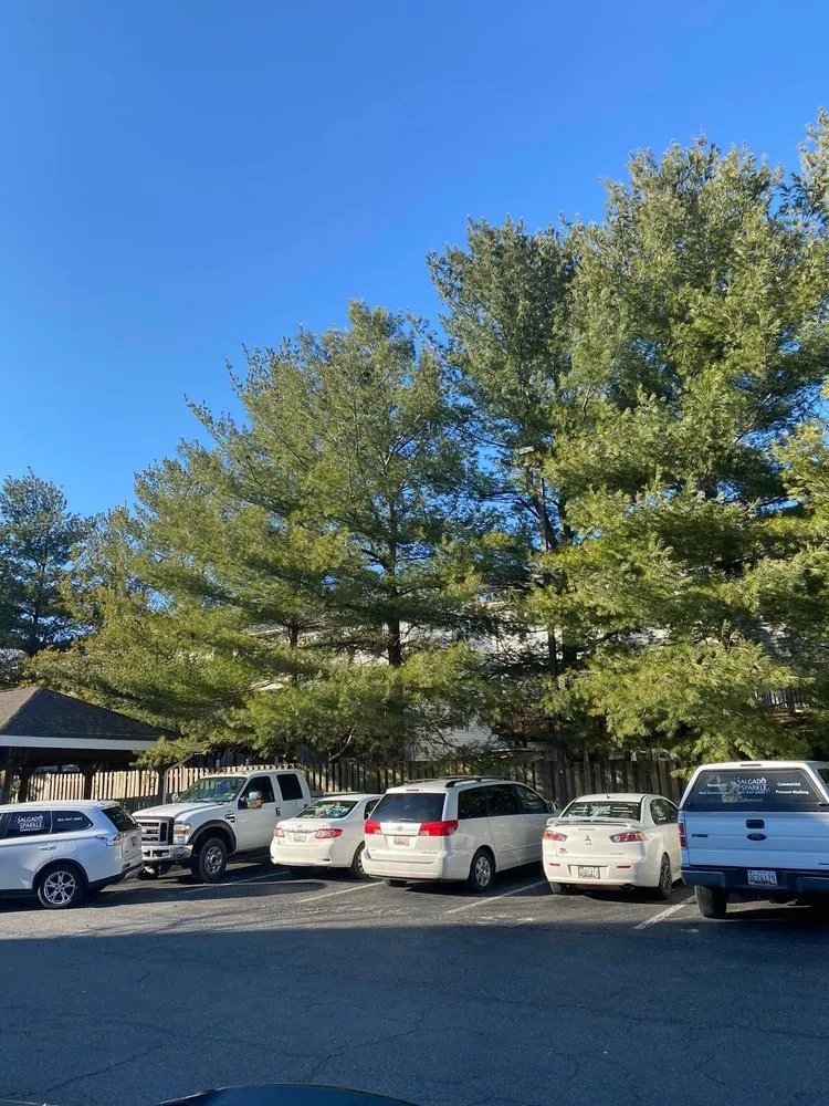 Local garden landscaping with custom design across Hagerstown, MD - Salgado Ground