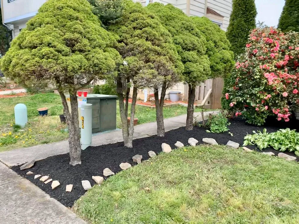 Local landscaping services for homes in Hagerstown, MD by Salgado Ground