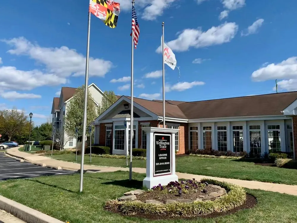 Professional yard cleanup service in Hagerstown, MD by Salgado Ground