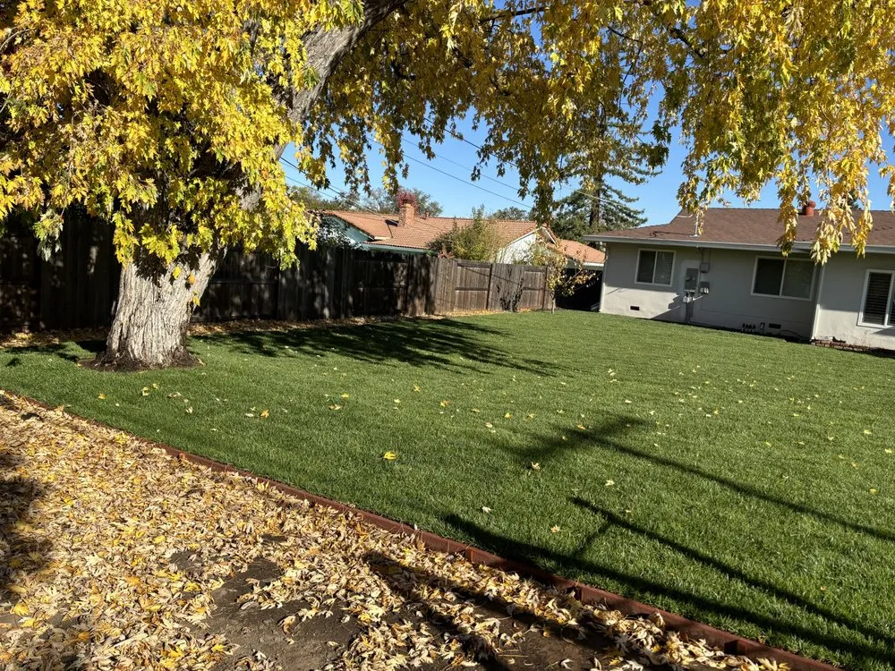 Custom outdoor landscaping for year-round maintenance in North Highlands, CA by Salgados Landscape and Sprinklers