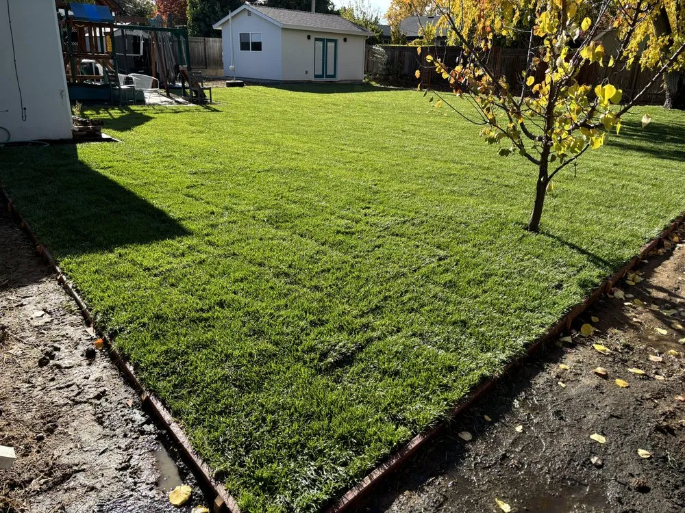 Local landscape design experts serving North Highlands, CA - Salgados Landscape and Sprinklers