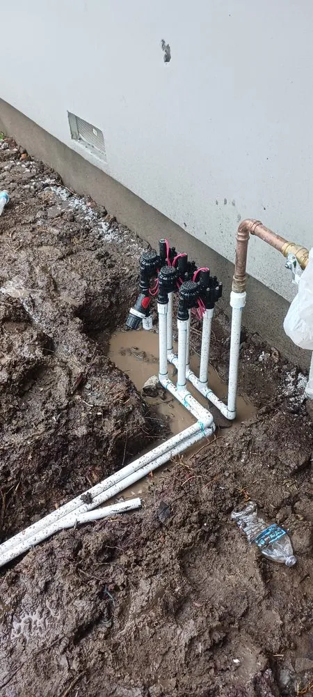 Top-rated yard cleanup service in North Highlands, CA by Salgados Landscape and Sprinklers