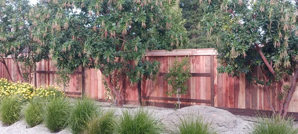 Custom yard cleanup service for residential properties across North Highlands, CA - Salgados Landscape and Sprinklers