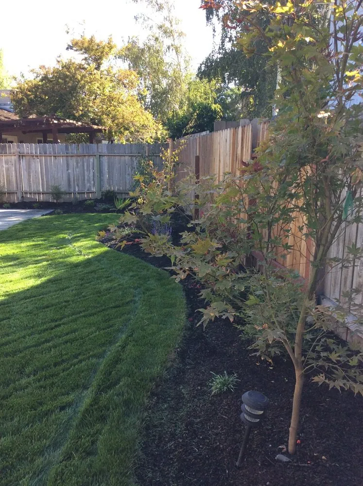 Expert landscaping services near you in Galt, CA by Salgado's Landscaping