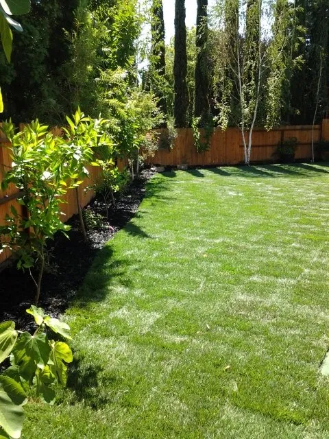 Custom landscape design experts serving Galt, CA - Salgado's Landscaping