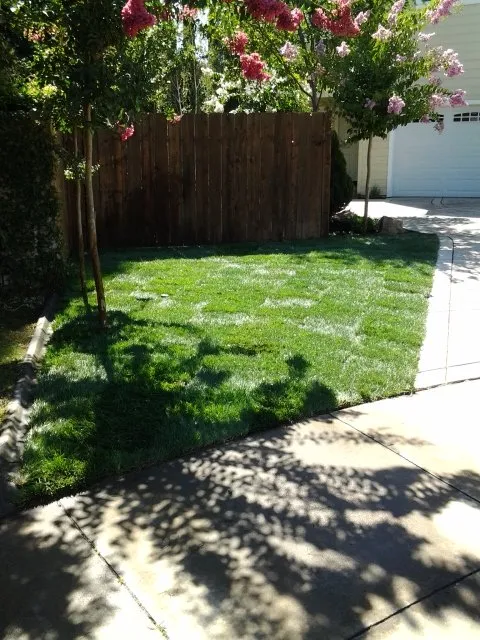 Reliable lawn care service experts serving Galt, CA - Salgado's Landscaping