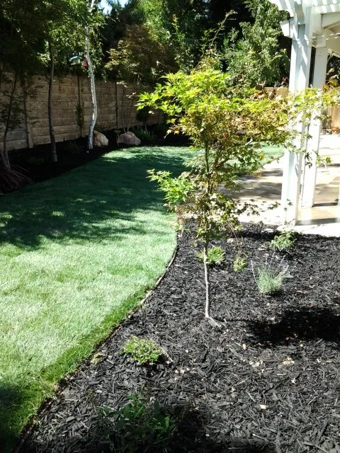 Local landscape installation near you in Galt, CA by Salgado's Landscaping