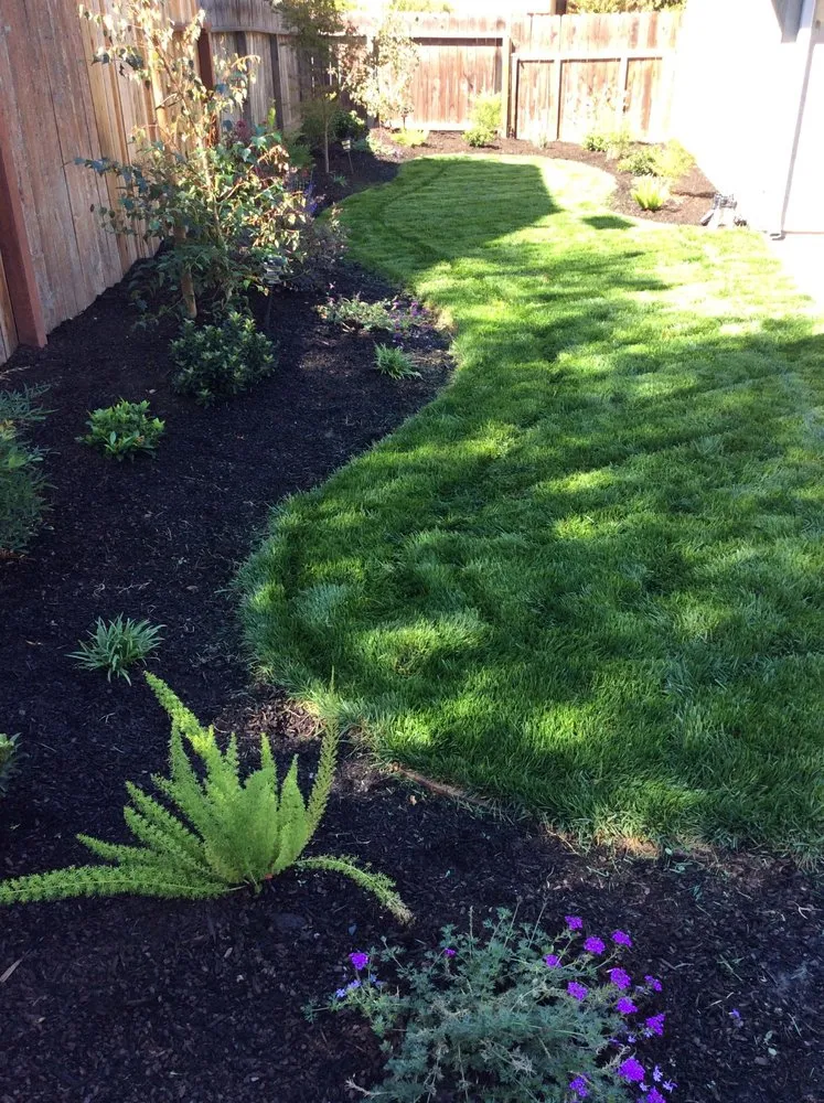 Expert lawn mowing service near you in Galt, CA by Salgado's Landscaping