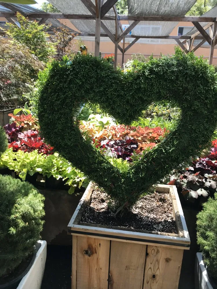 Reliable landscape installation for residential properties across Los Angeles, CA - Salgado's Landscaping