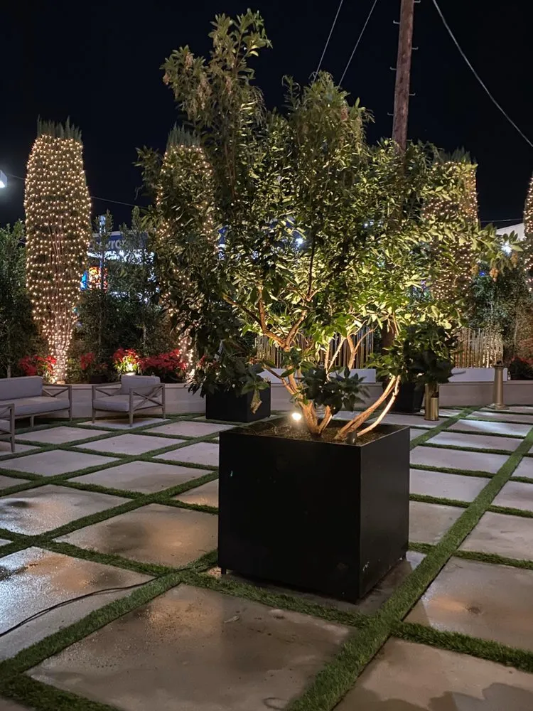 Professional lawn care service for year-round maintenance in Los Angeles, CA by Salgado's Landscaping