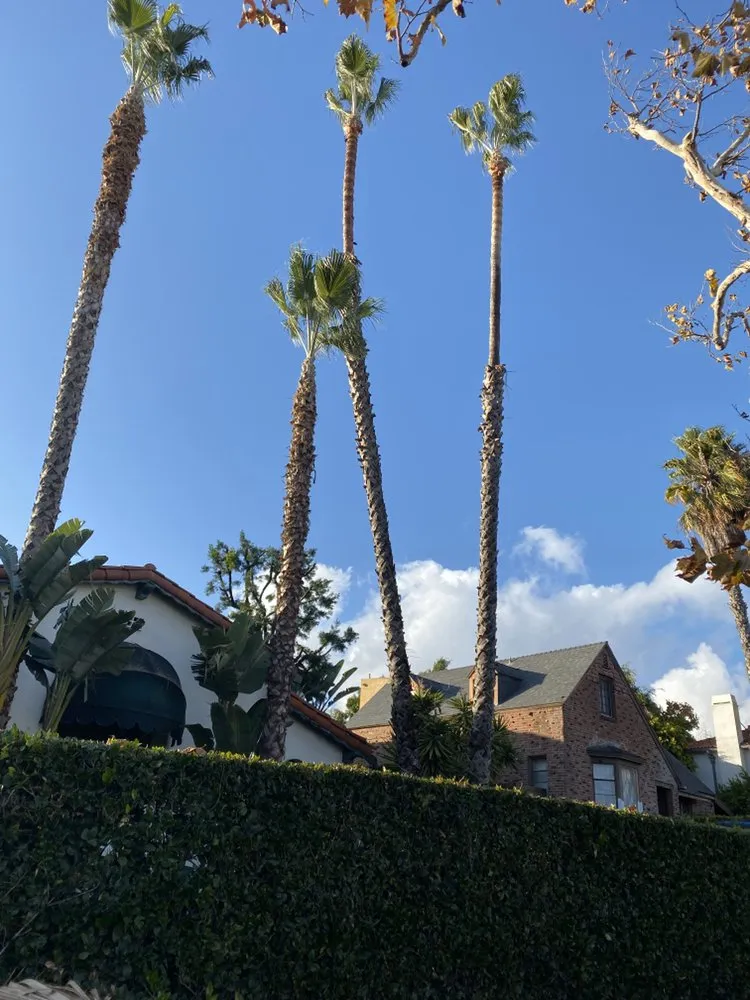 Expert lawn mowing service experts serving Los Angeles, CA - Salgado's Landscaping