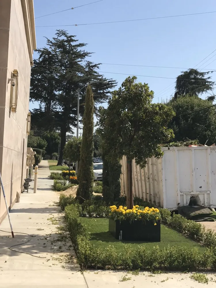 Affordable landscaping services experts serving Los Angeles, CA - Salgado's Landscaping