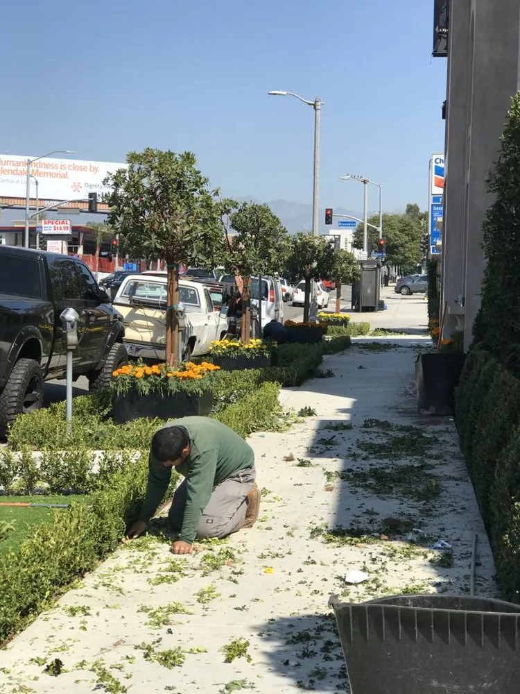 Trusted lawn mowing service with custom design in Los Angeles, CA by Salgado's Landscaping