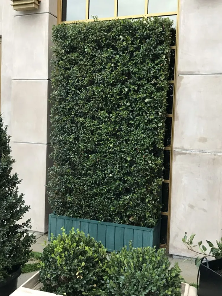 Professional residential landscaping experts serving Los Angeles, CA - Salgado's Landscaping